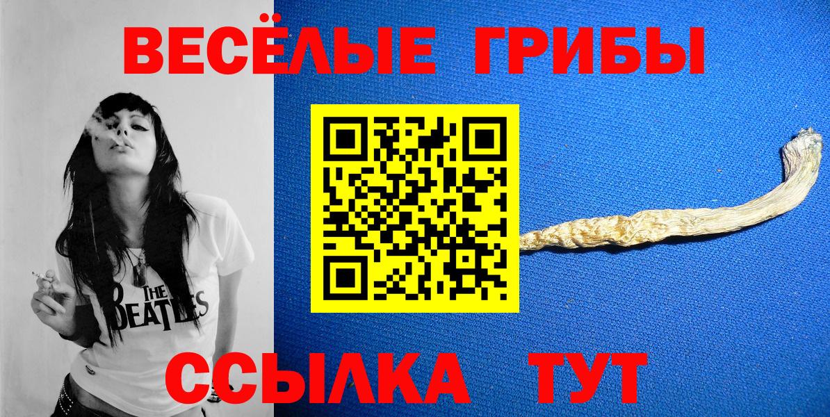 Еманжелинск  продажа наркотиков  Вход с VPN  Псилоцибиновые грибы Psilocybine cubensis  Галлюциногенные грибы Cubensis 